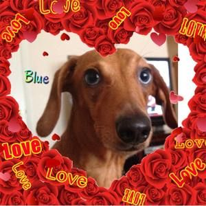 Meet your Posher, Michele